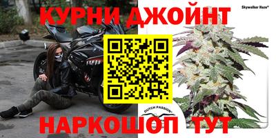 сатива Рузаевка